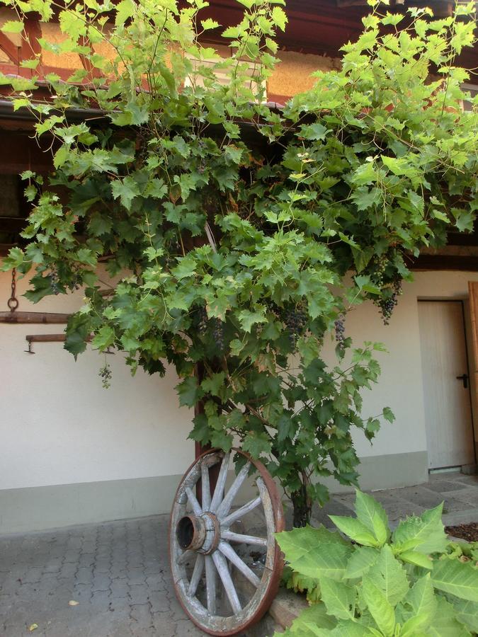 Zehnthof Hotel Geldersheim Kültér fotó